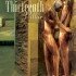 The Thirteenth Pillar